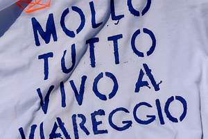 Piccolo terreno edificabile versilia e