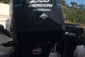 Mercury optimax 225 hp 2 tempi + Mercuri 9.9 2