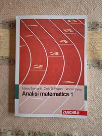 Analisi Matematica 1 - Bramanti/Pagani/Salsa