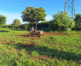 Terreno agricolo