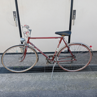 Bicicletta Olmo condorino