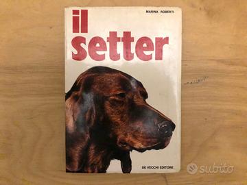 Il setter - Marina Roberti