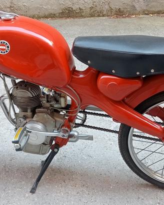Motom 48cc 1961 rossa 4 tempi