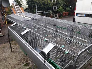 Gabbie per conigli 5 box