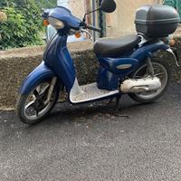 Scooter  50 scarabeo