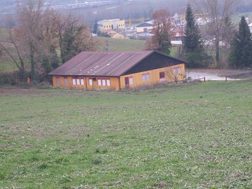 Locale Commerciale a LIONI
