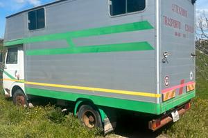 cassone trasporto cavalli