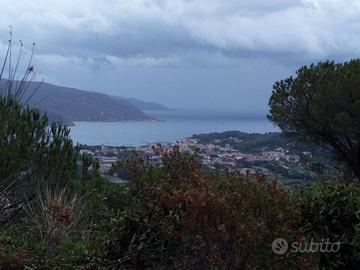 Terreno con vista panoramica