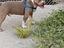 Immagine 5