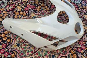 Cupolino Ducati 749/999 cod. 48130251A