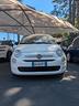 fiat-500-1-0-hybrid-cult