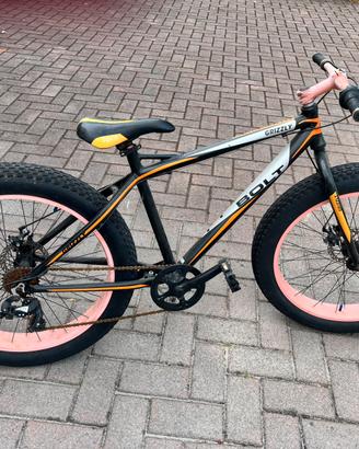 Fat bike