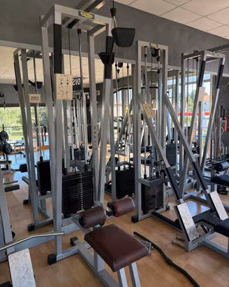Lat Machine Technogym Silver Line