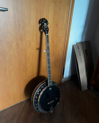 Banjo 5 corde Rathbone BJ400 - Barnes and Mullins