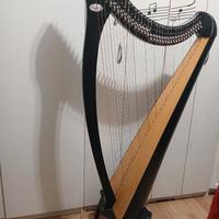 Arpa celtica Salvi Nicoletta