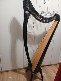 Arpa celtica Salvi Nicoletta