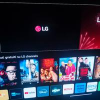 TV OLED LG 55" EVO Gallery 