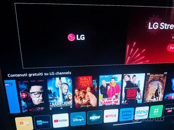 TV OLED LG 55" EVO Gallery 