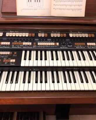 Solton P500 ORGANO Funzionante