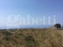 terreno-agricolo-amantea-cod-rif5519890vcg-