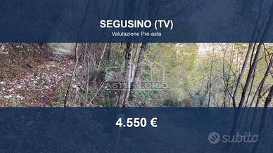 Immobile in asta di 4314 m² a Segusino