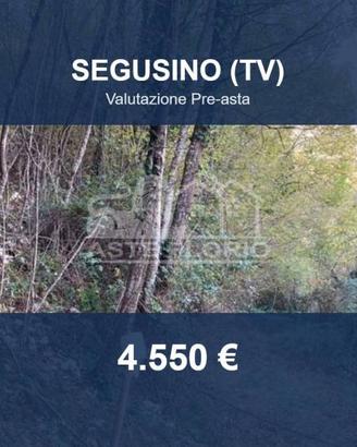 Immobile in asta di 4314 m² a Segusino
