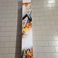 set per la pulizia delle grondaie per stihl bg 56