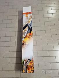 set per la pulizia delle grondaie per stihl bg 56