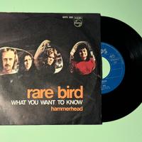 Disco in vinile Rare Bird - Hammerhead