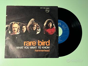 Disco in vinile Rare Bird - Hammerhead