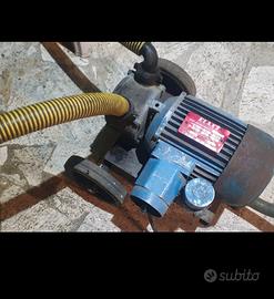 pompa travaso vino vendemmia 220v (0,6 HP)
