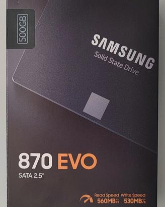 Disco SSD Samsung 870 EVO da 500Gb