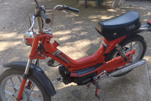 Califfone in buone condizioni