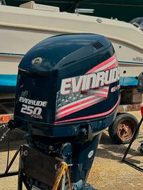 EVINRUDE 250 E-TEC DHX