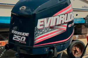 EVINRUDE 250 E-TEC DHX