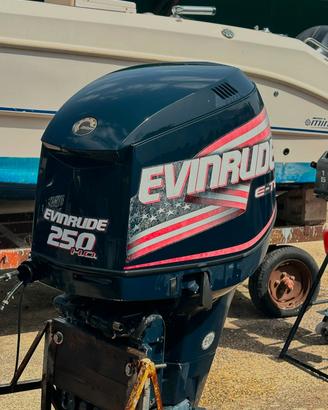 EVINRUDE 250 E-TEC DHX