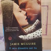 il mio disastro sei tu di Jamie Mcguire 