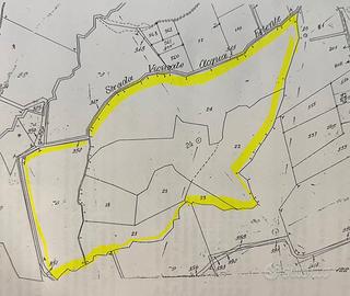 Terreno - Destinazione d'uso pascolo