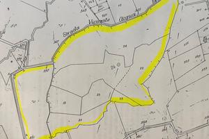 Terreno - Destinazione d'uso pascolo