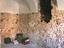 Immagine 13