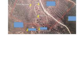 PORTOGALLO: Terreno biologico con 1,5 ettari, picc