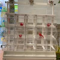 Distributore di caramelle