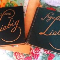 ALBUM LIEBIG