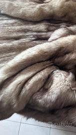 pelliccia di volpe groenlandia