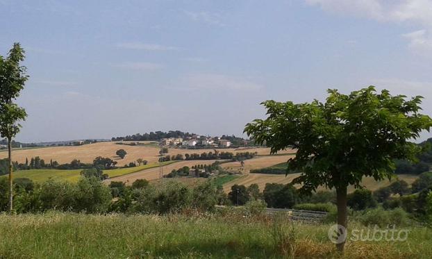 Casa singola su unico piano con ampio giardino