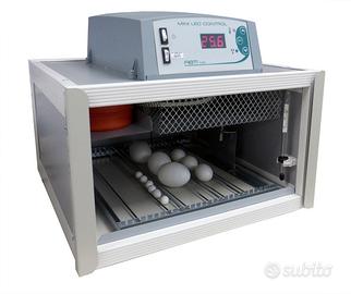 Incubatrice cip cip28 usato