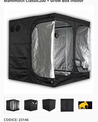 Set completo grow box indoor