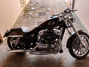 Harley Davidson sportster Roadster 1200 anno 2004