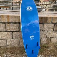 Tavola surf CBC 6.2 Fish