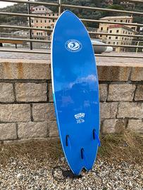 Tavola surf CBC 6.2 Fish